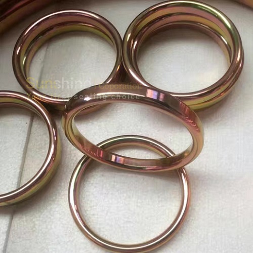China Soft Iron Ring Joint Gasket with Zinc Plated